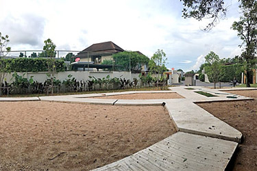 Small overview of the trees and walk way